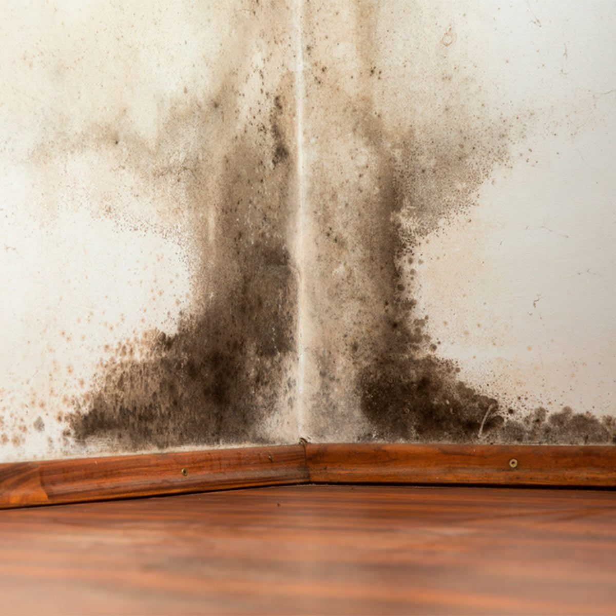 Inspect Your Home Like a Home Inspector: A Guide
