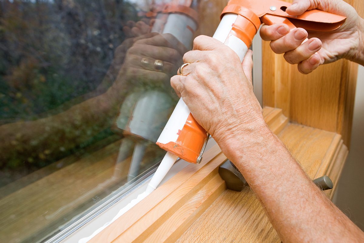 How to Keep Mice Out of Your House – Simple DIY Tips