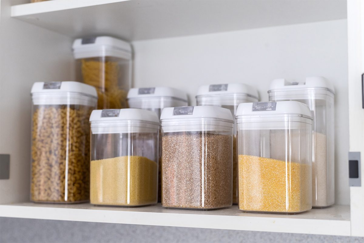 How to Keep Mice Out of Your House – Simple DIY Tips
