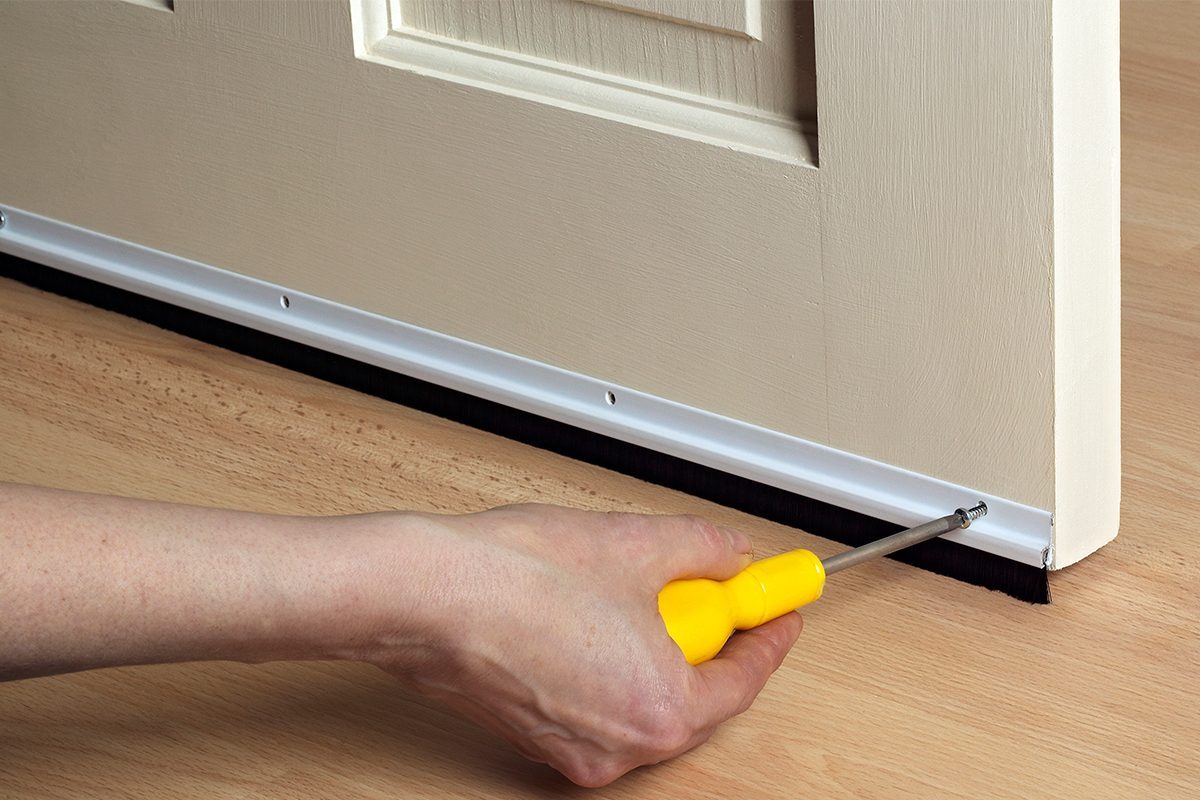 How to Keep Mice Out of Your House – Simple DIY Tips