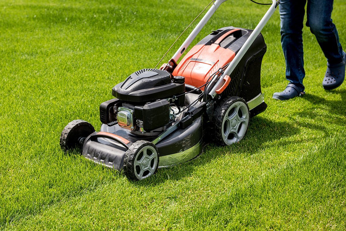 Lawn Care Playbook: How to Supercharge Your Yard This Season