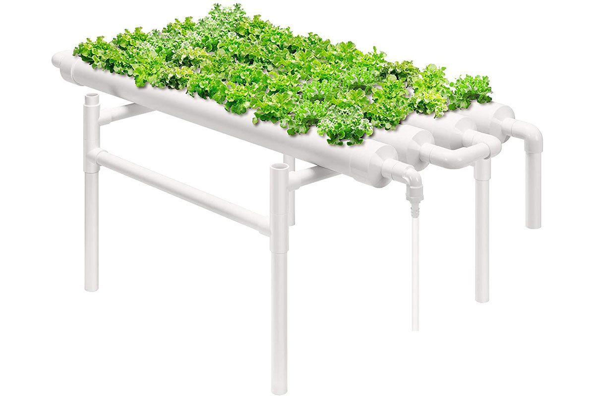 What to Know About Hydroponic Gardens