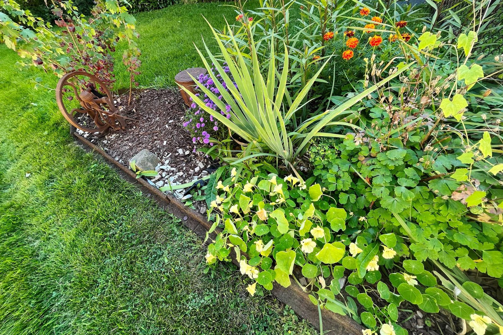 EcoBorder Rubber Landscape Edging Review: Is Rubber Lawn Edging Any Good?