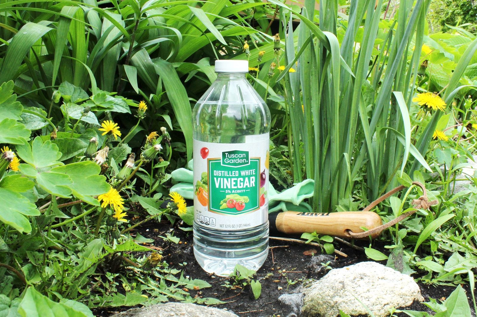A plastic bottle of distilled white vinegar stands upright in a green garden filled with various plants and flowers, alongside a gardening t