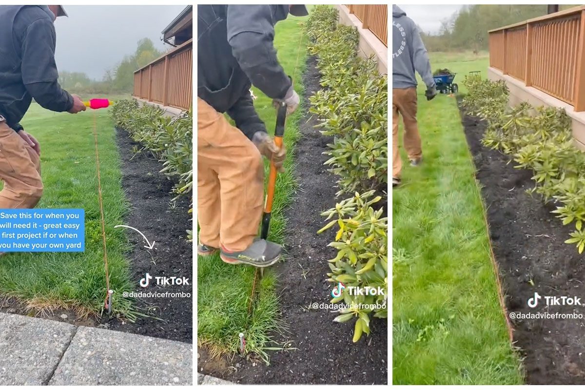 A person uses a tool to dig alongside a row of plants, preparing soil in a yard marked by grass and landscaping.