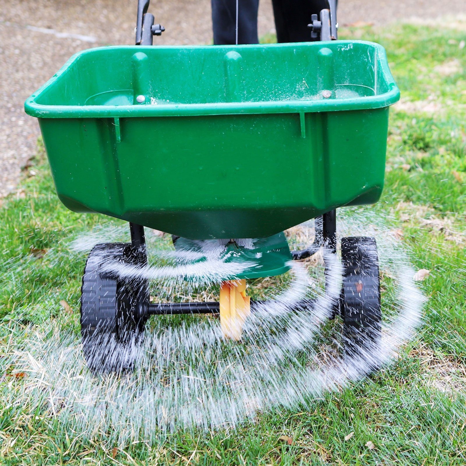 A green spreader releases liquid in a circular pattern onto grass while being pushed forward, with a gravel pathway visible in the backgroun
