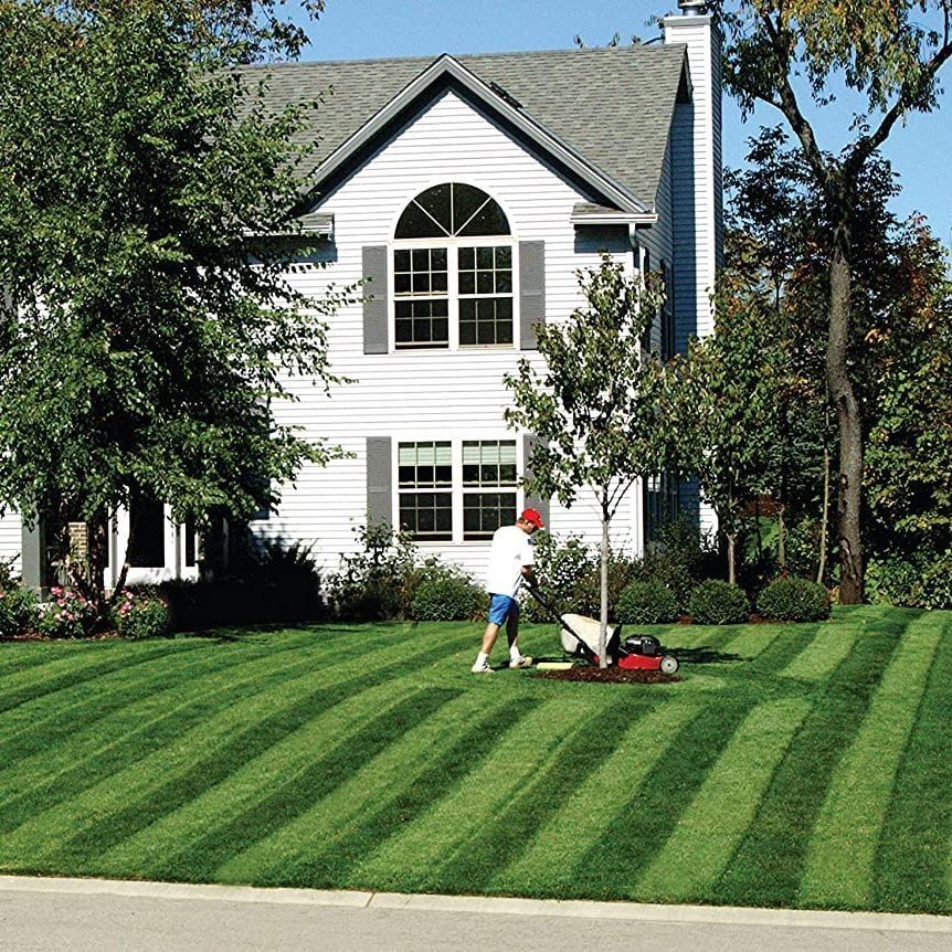 A person is mowing a striped lawn near a house, surrounded by trees and bushes on a sunny day.