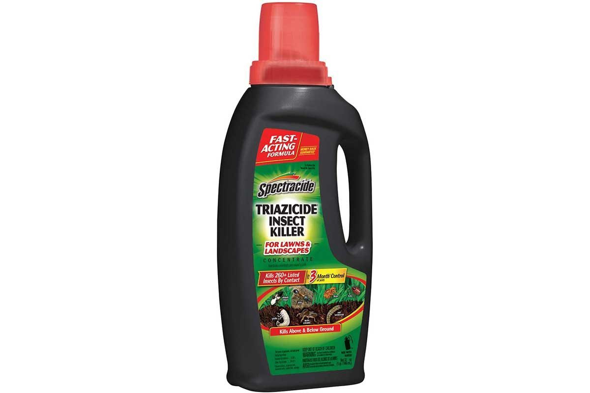 How to Get Rid of Leaf Beetles in Your Garden