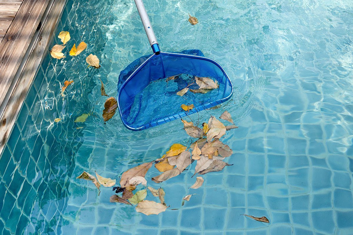 Cleaning swimming pool of fallen leaves with blue skimmer