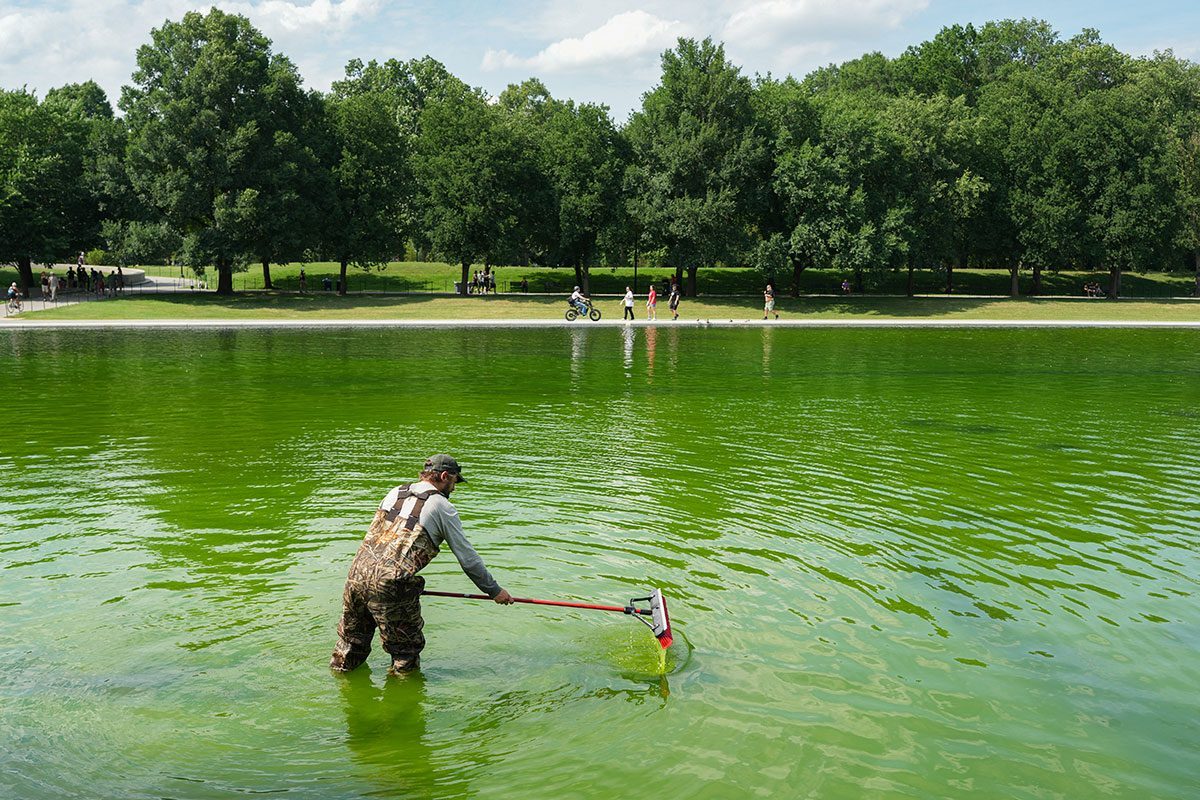What the Lincoln Memorial's Algae Problem Teaches Us About Water Feature Maintenance