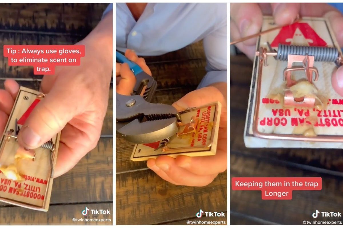 A hand sets a mouse trap using pliers, positioning bait while on a wooden surface. Tips about using gloves are displayed nearby for proper h