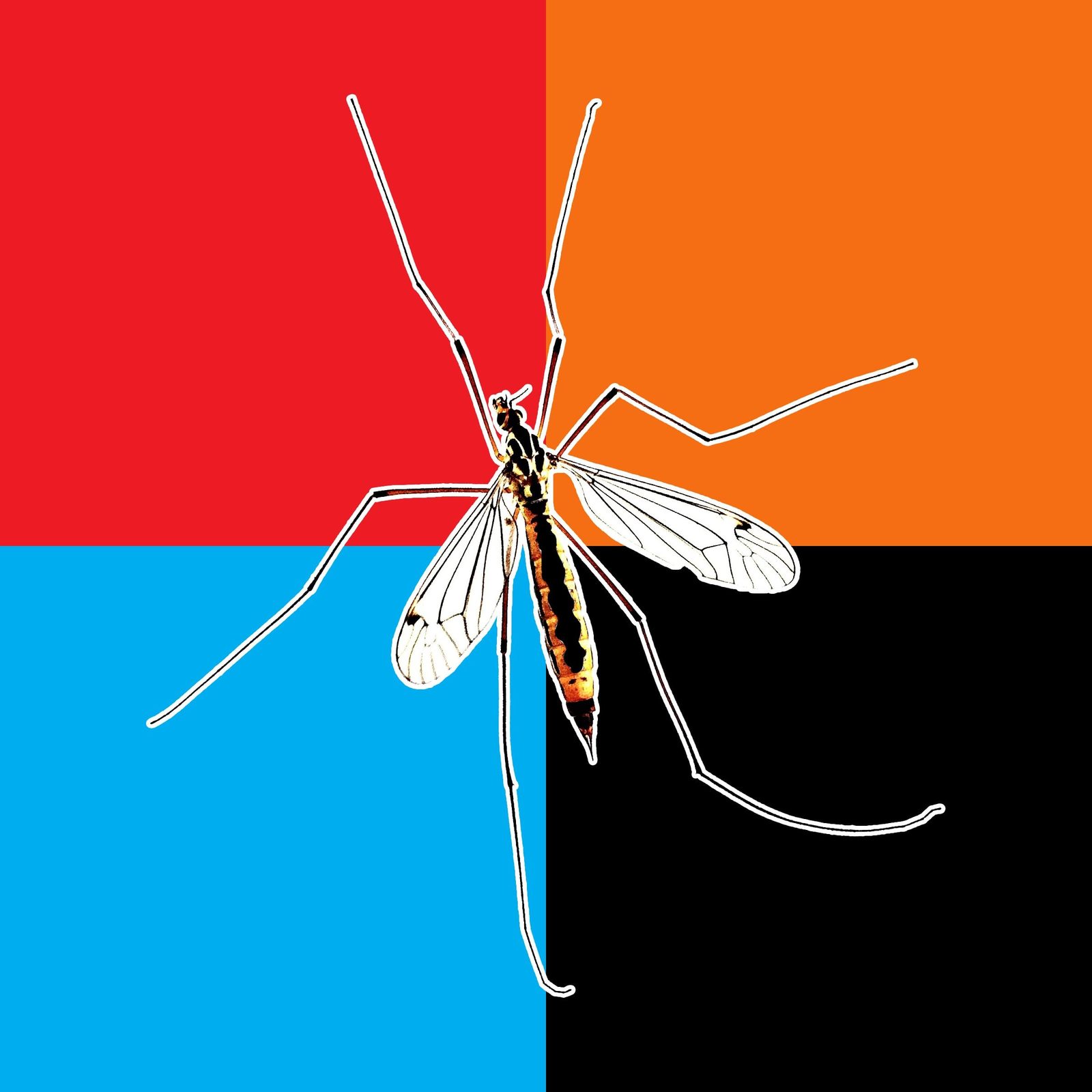 A mosquito is centered, outlined in white, against a colorful background of red, blue, orange, and black squares, emphasizing its delicate s