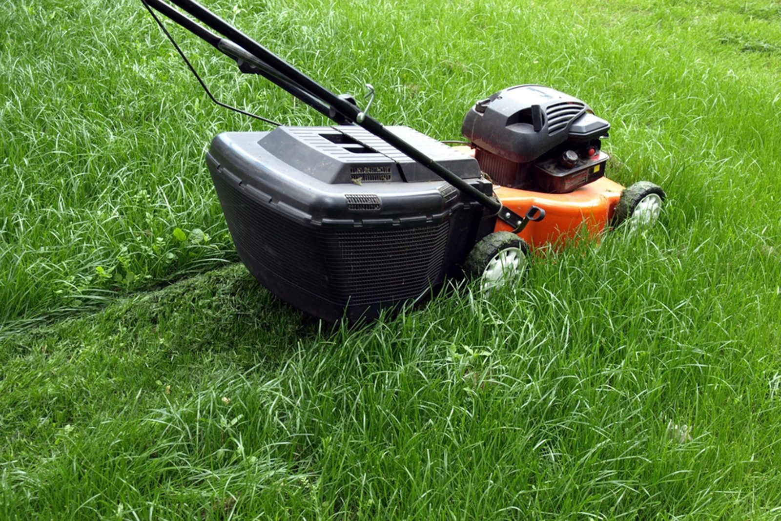 When Should I Stop Mowing My Lawn in the Fall?