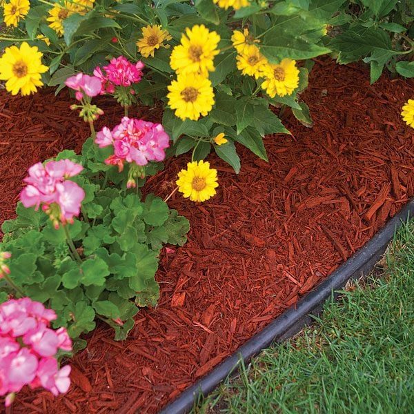 Everything to Know About Mulch for Landscaping