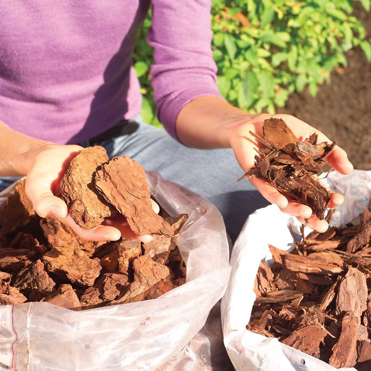 Everything to Know About Mulch for Landscaping