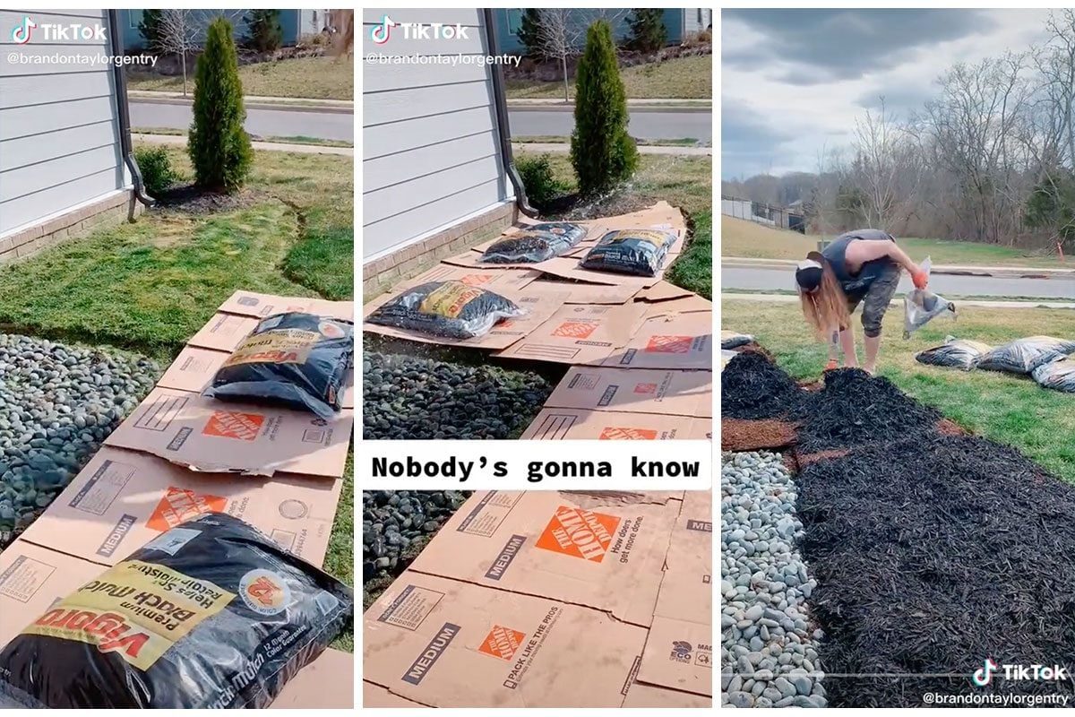 Bags of mulch are being spread over cardboard on a grassy area, while a person works in a residential yard during sunny weather.