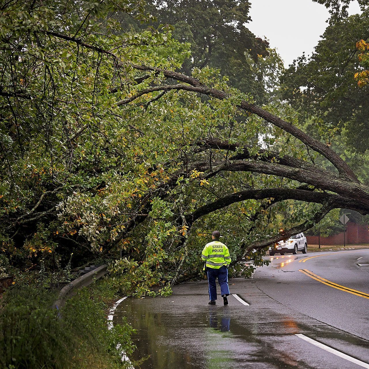 Nor'easter brings damaging winds, some flooding to Mass.