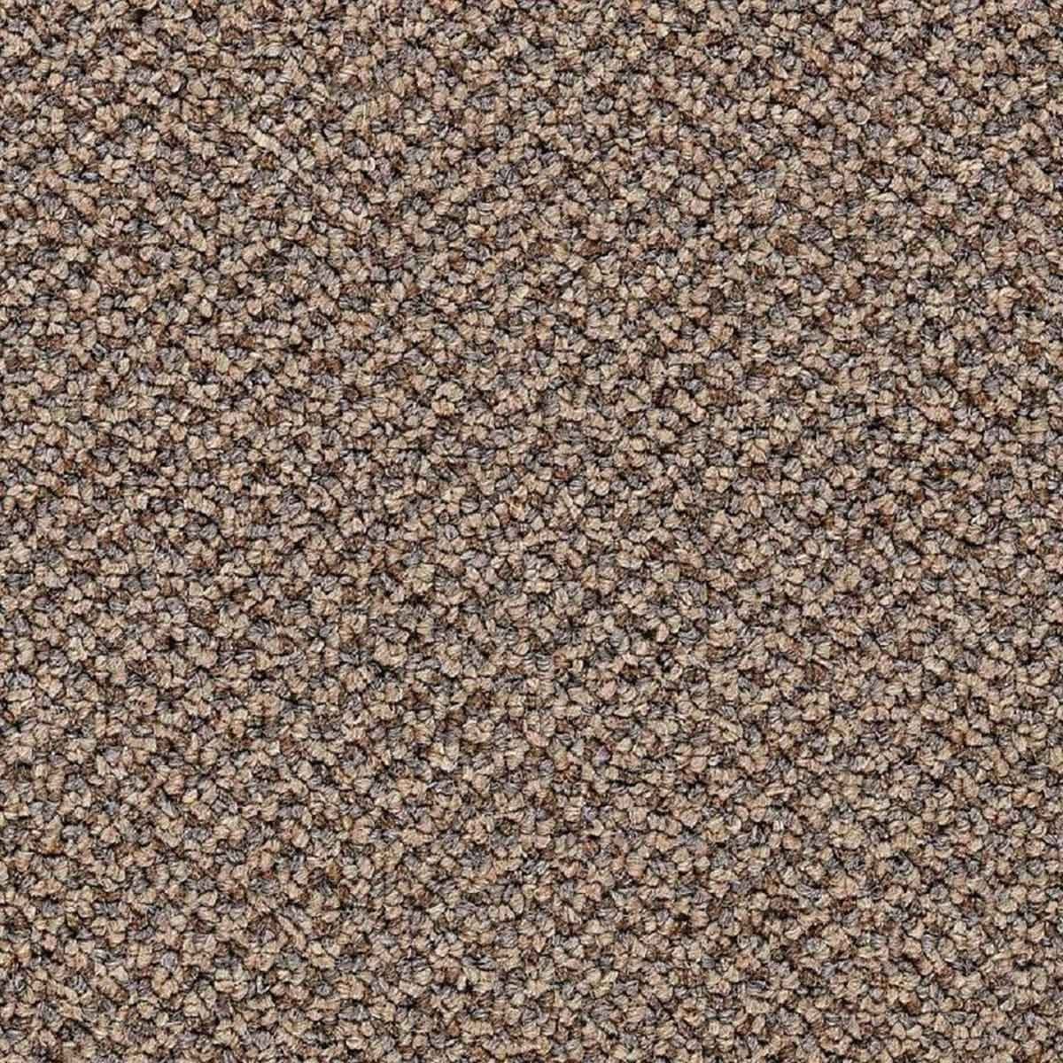 A textured carpet surface covers the floor, featuring small, tightly woven fibers in various shades of brown, creating a warm, neutral setti