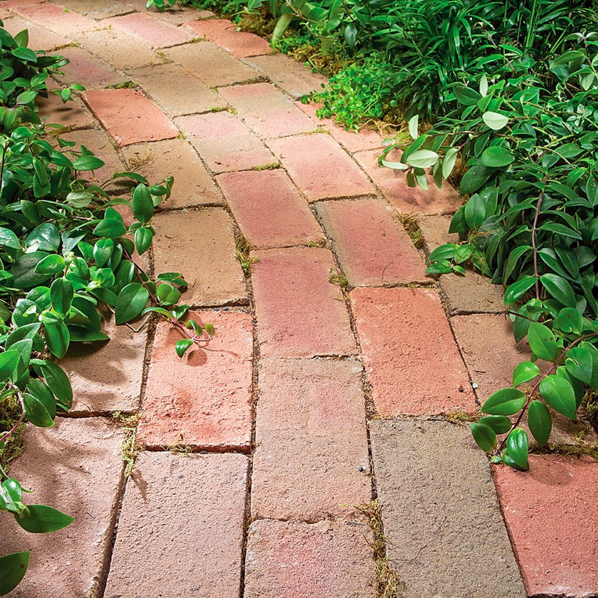 Stone Paths, Pavers or Gravel: Which Type of Garden Path Is Best?