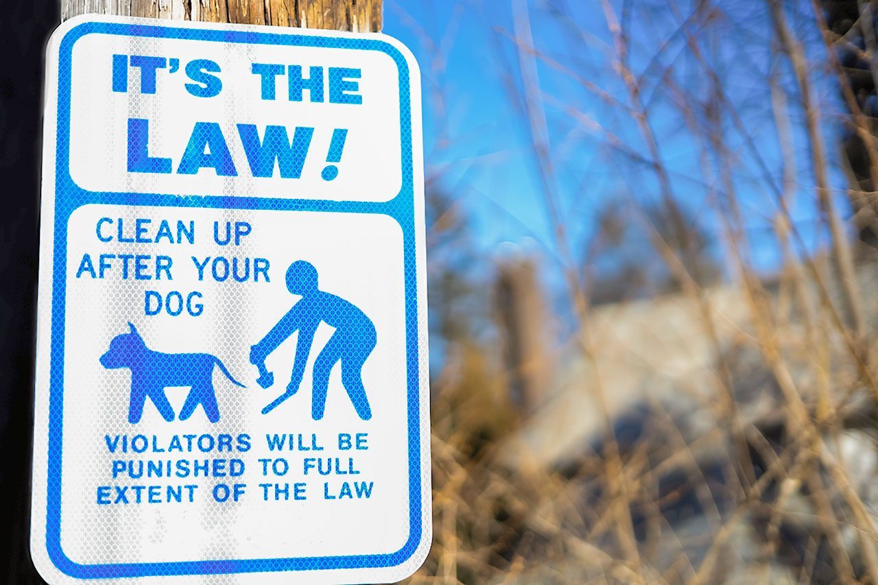 Pet Waste Laws 101: Written and Unwritten Rules Every Good Neighbor Should Know
