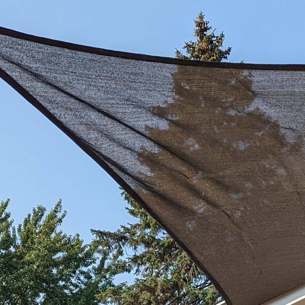 Make a Tiny Oasis in Your Backyard with the Coolaroo Shade Sail