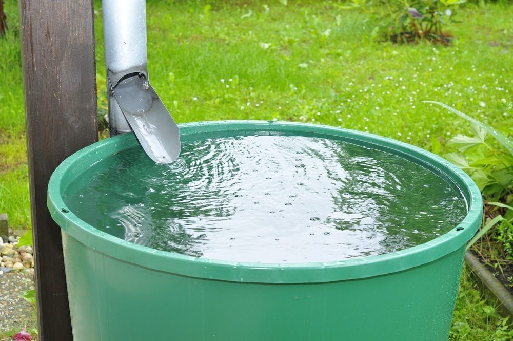 Can You Go To Jail for Collecting Rainwater?