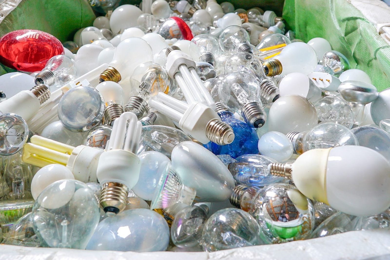 Lightbulbs in a bin