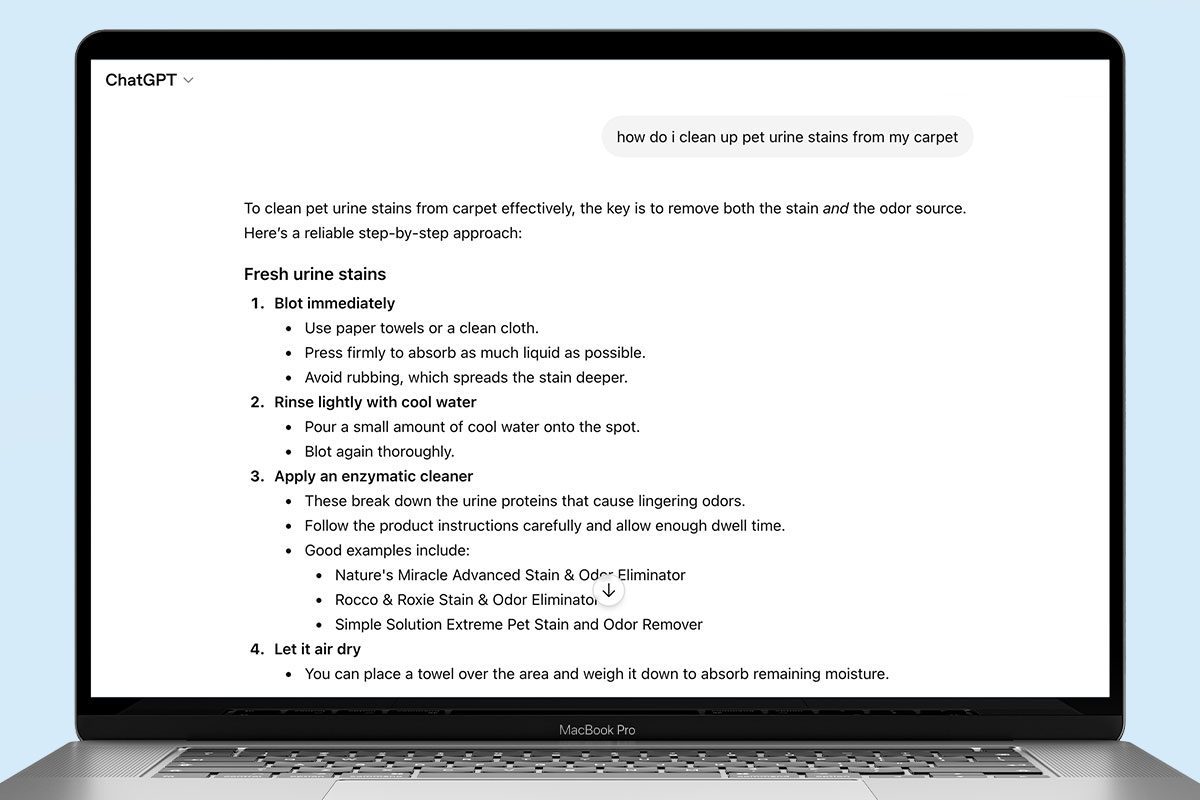 Should You Trust Ai When It Comes To Pet Stain