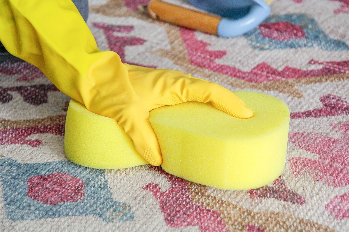 A closeup of a hand clenaing a carpet