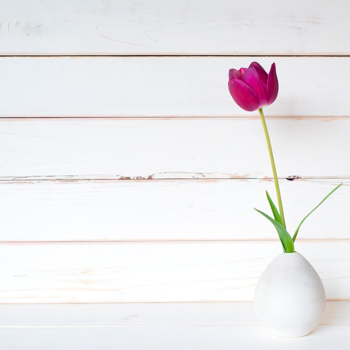 A pink tulip stands upright in a smooth, white vase, resting on a light wooden surface with a minimalistic, bright background.