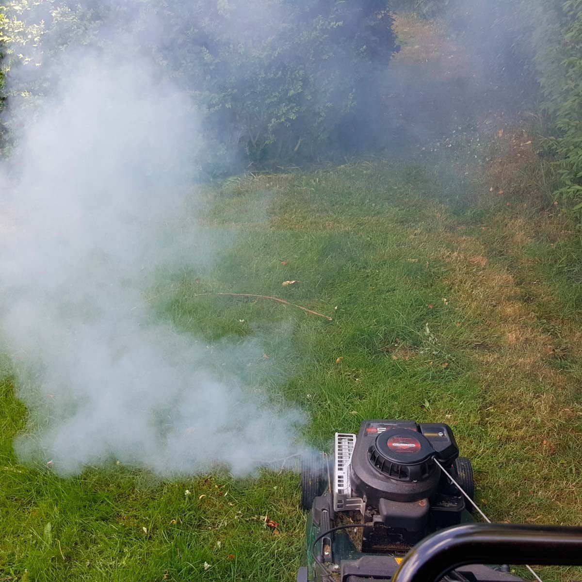 A lawn mower emits smoke while cutting grass, surrounded by a grassy area and hedge-like vegetation, suggesting yard maintenance is in progr