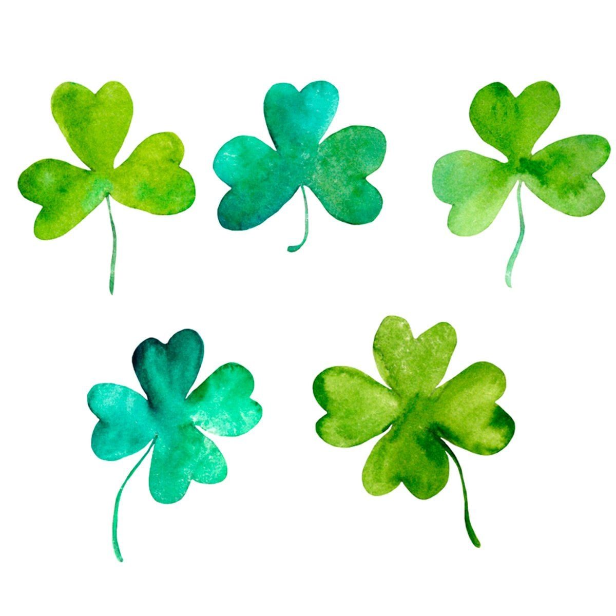 Shamrock vs. Four-Leaf Clovers: What's the Real Difference?