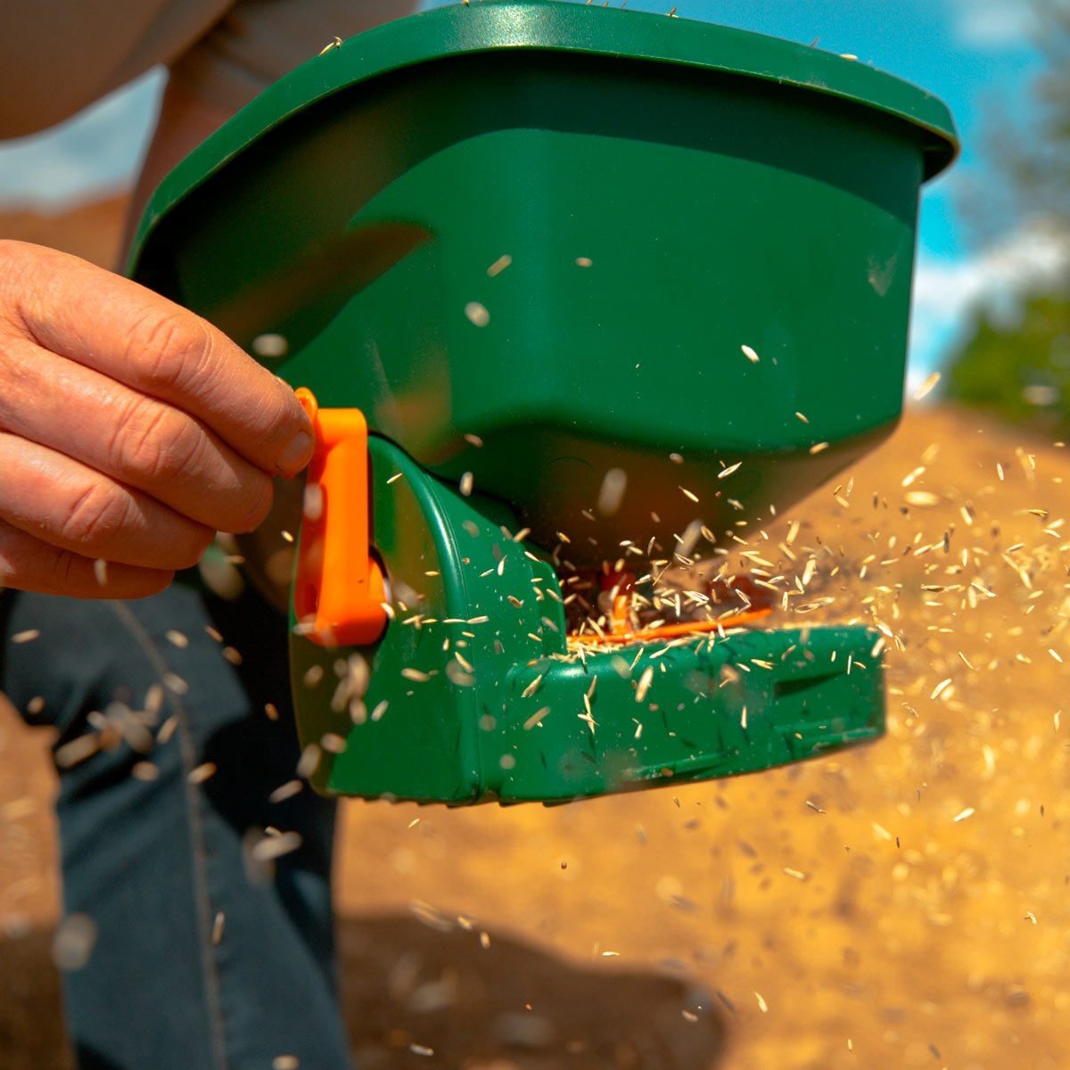 Why Fall Is the Best Time to Reseed Your Lawn