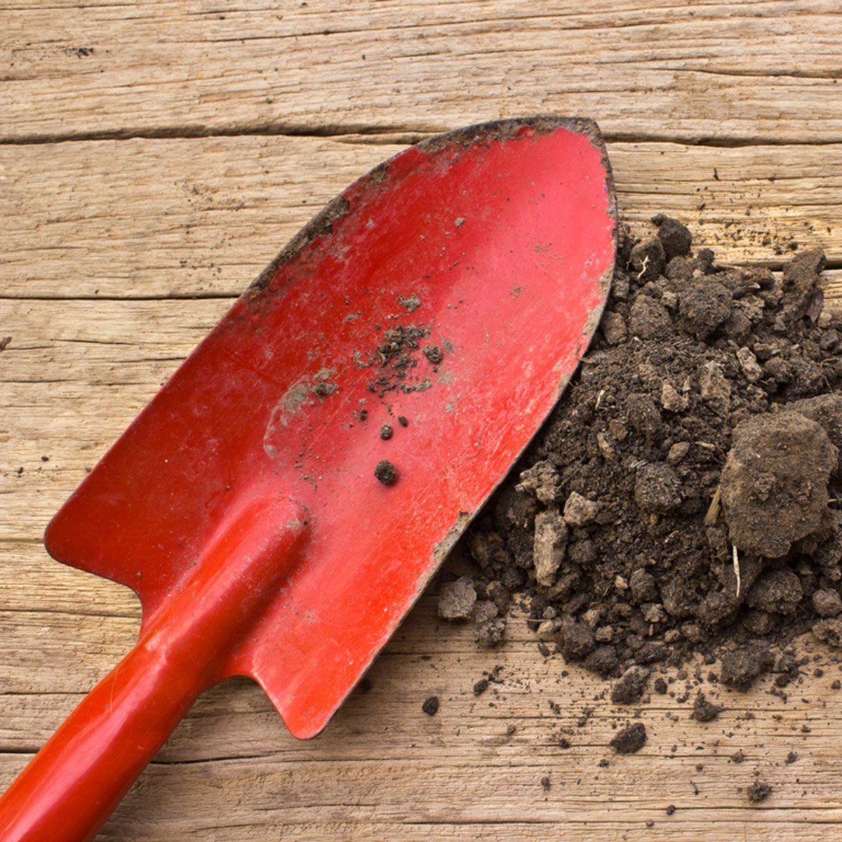 A red garden shovel rests on wooden planks, next to a small pile of dark soil, suggesting recent digging or gardening activity.