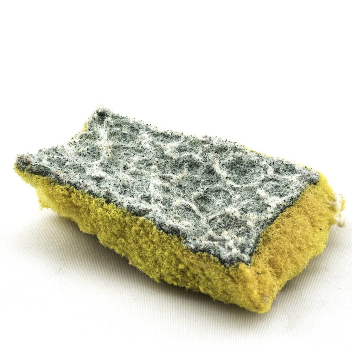 Cleaning a Sponge to Avoid That Smell