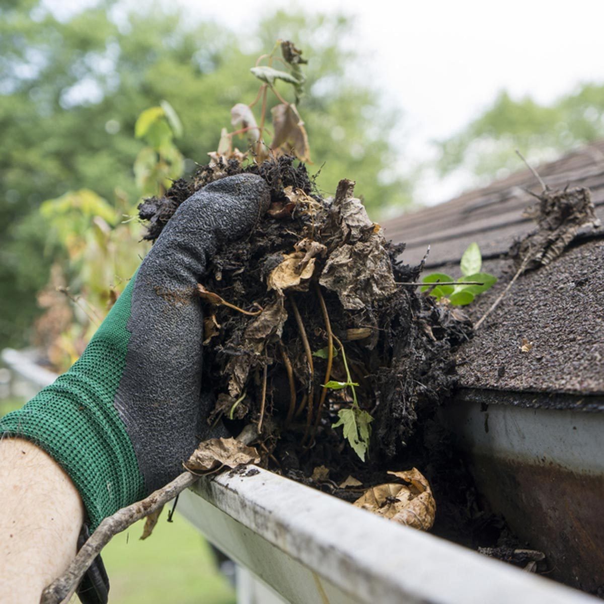 The Experts' Guide to Preventing Mold In Basements