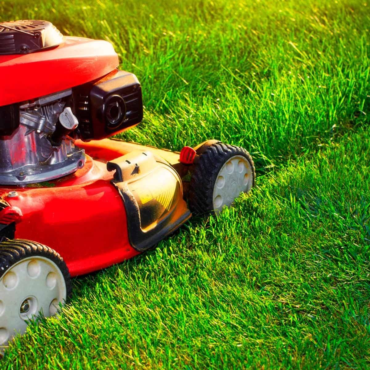 A red lawn mower rests on lush green grass, poised for use, with sunlight illuminating the surrounding yard.