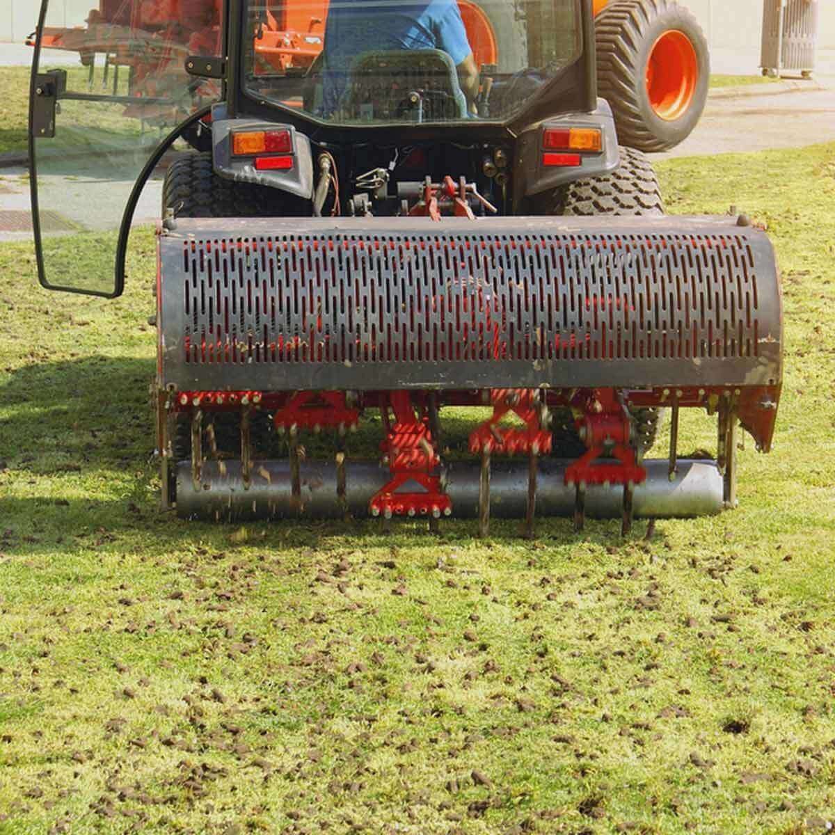 Is Your Lawn Ready for Winter? Here's What To Do
