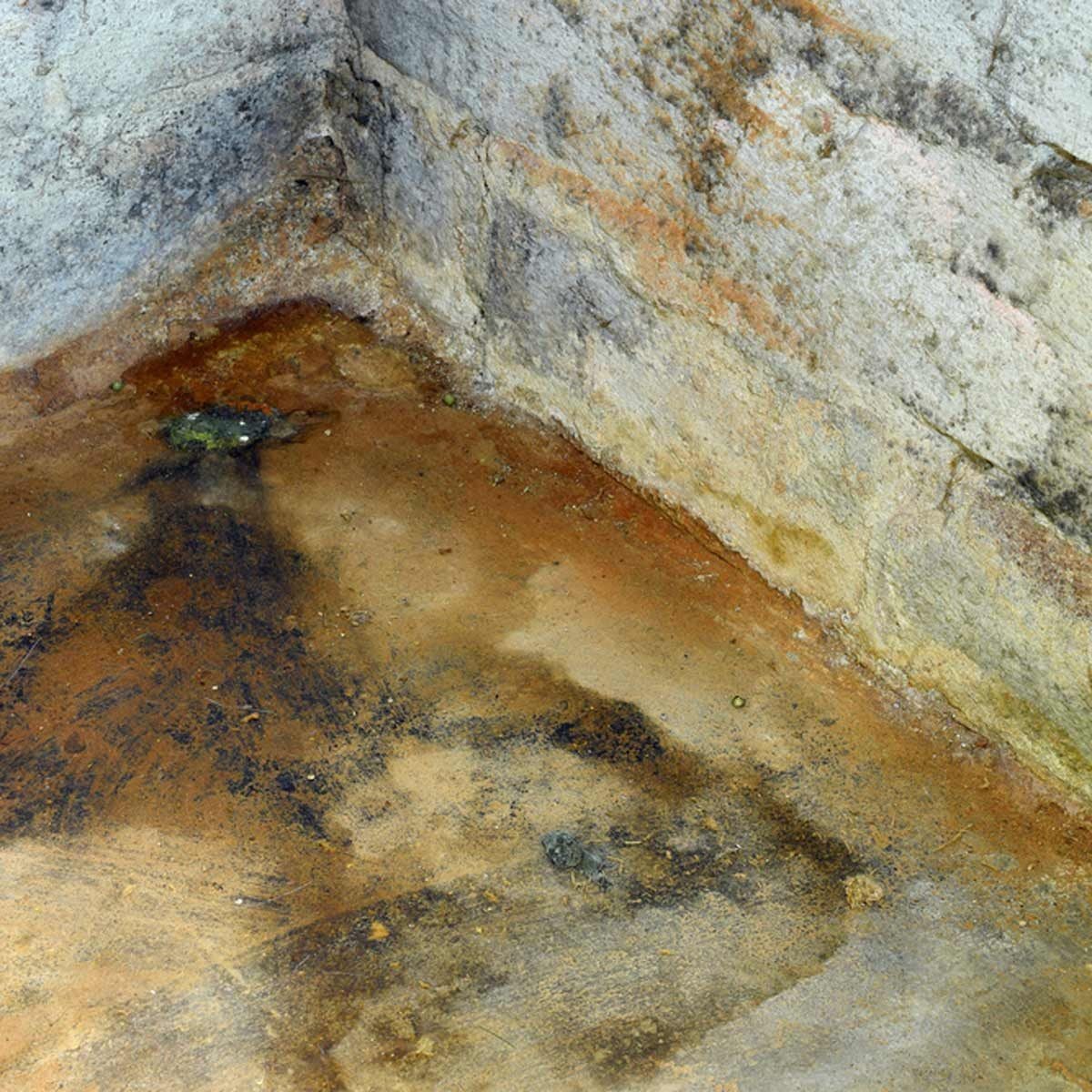 A damp corner of a concrete room shows discolored, stained surfaces with a mix of brown and black patches, suggesting moisture damage in a n
