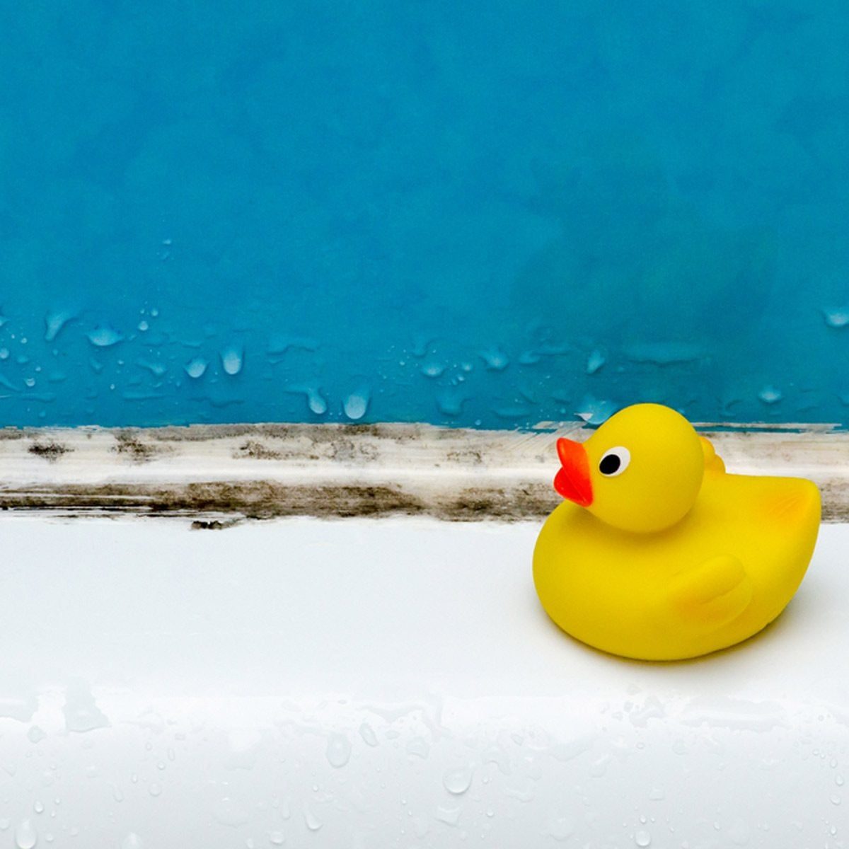 A yellow rubber duck rests on a wet white surface, with a blue background and drops of water suggesting a bathing environment.