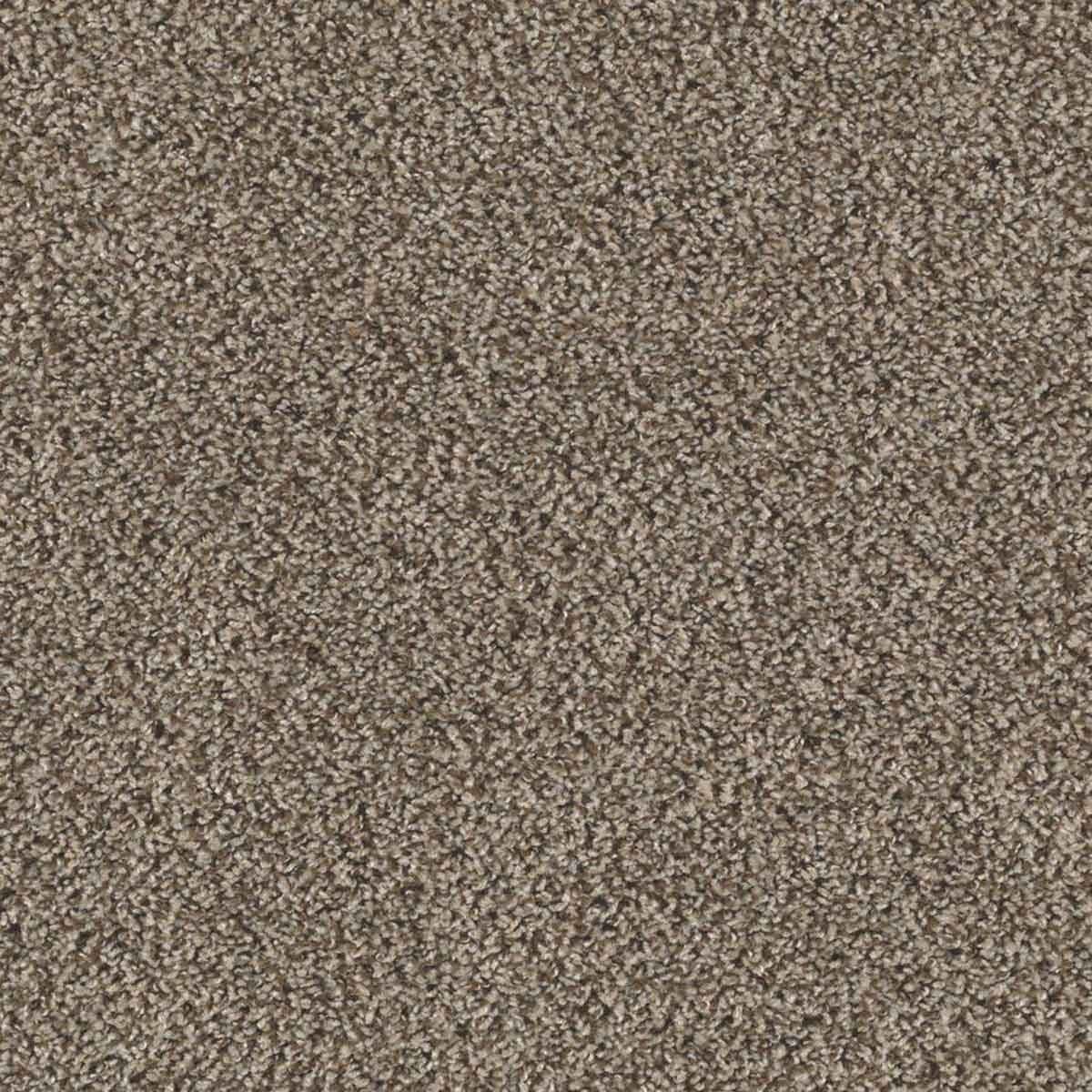 A textured, brown carpet covers the floor, featuring short, soft fibers densely packed together, creating a uniform and warm appearance in a