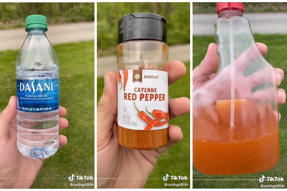 A hand holds a water bottle, then a spice jar, and finally a bottle with a red liquid, positioned outdoors on green grass.