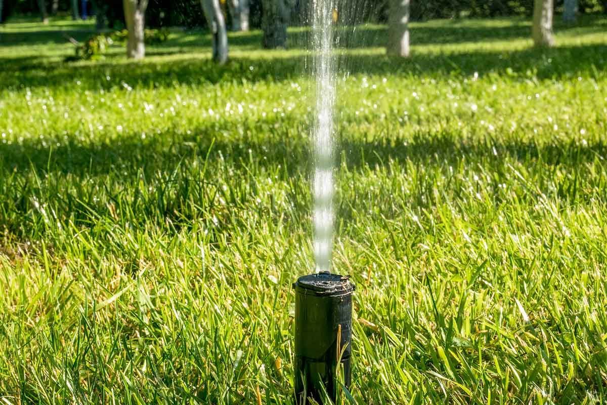 The Biggest Mistakes People Make with Their Yards