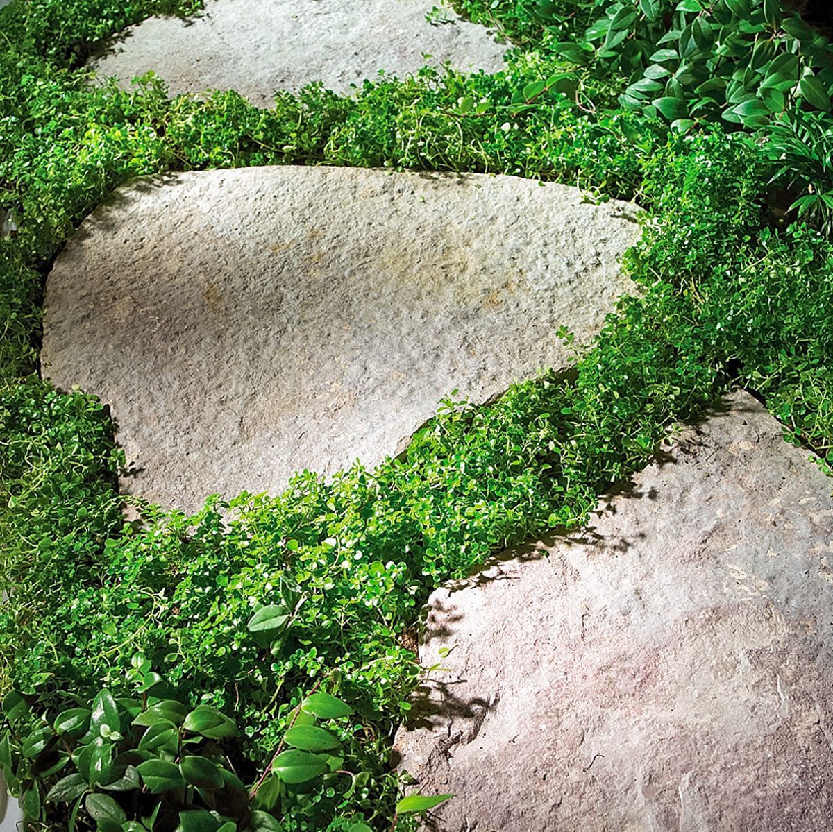 Stone Paths, Pavers or Gravel: Which Type of Garden Path Is Best?