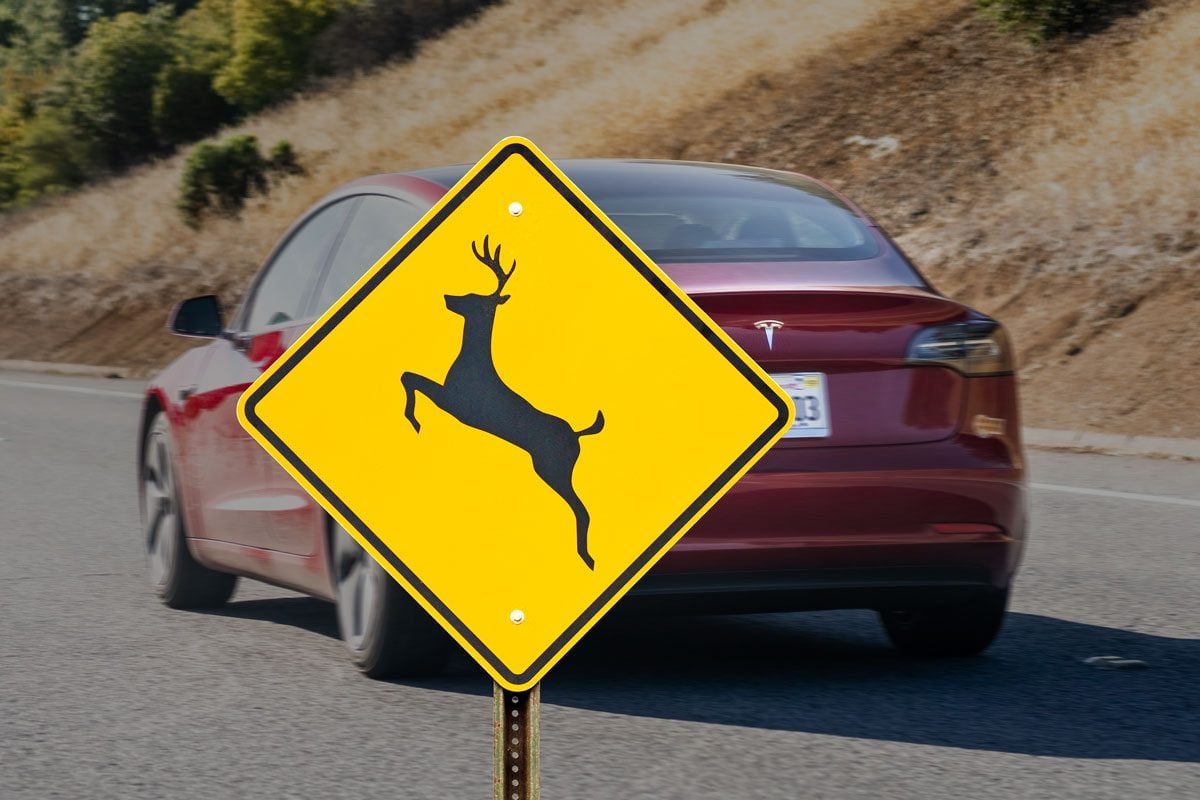 Tesla Model 3 on a highway with overlay of deer crossing sign