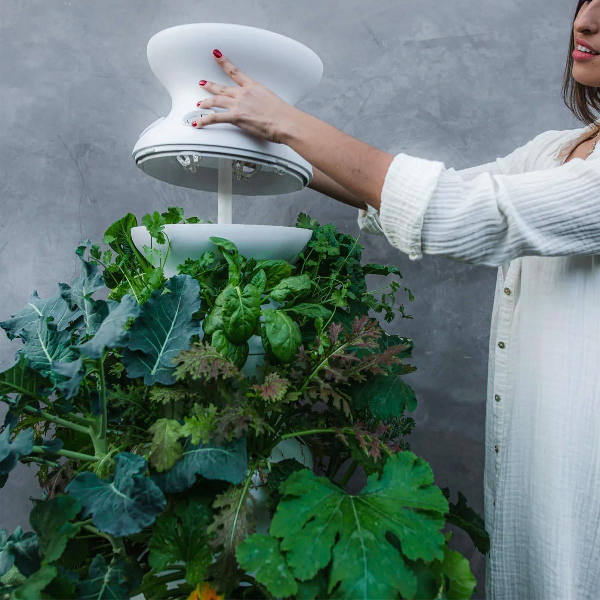 Lettuce Grow Farmstand Review: Is this Hydroponic Plant Stand Worth the Investment?