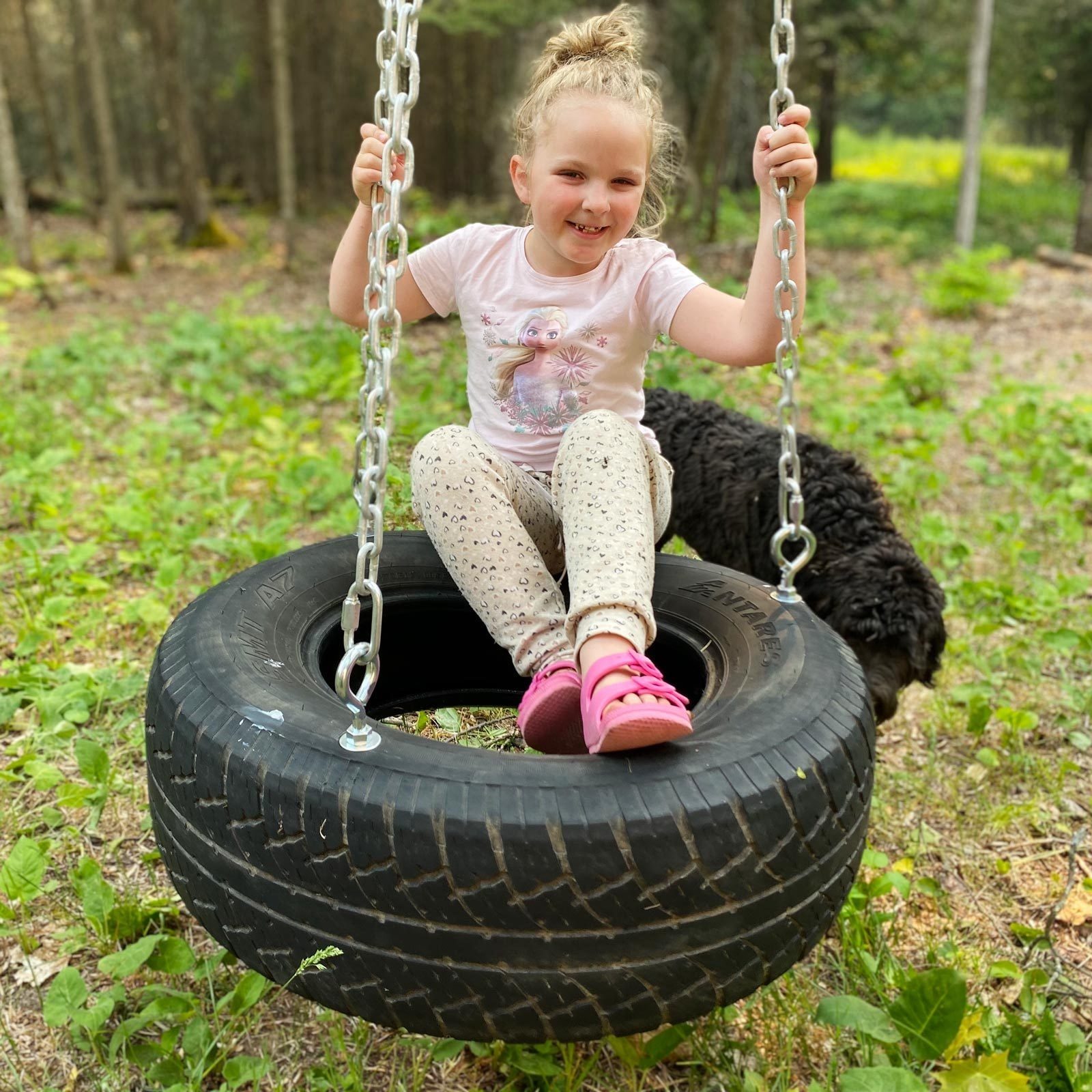 A girl sits on a tire swing, smiling and holding the chains, while a black dog sniffs the ground in a forested area with green plants.
