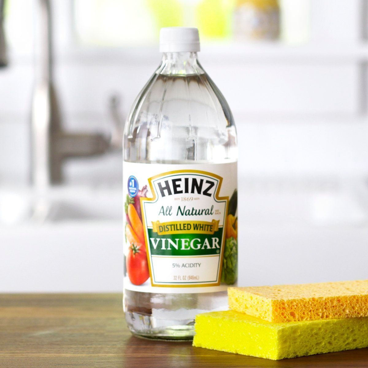 Does Vinegar Kill Mold? What to Know