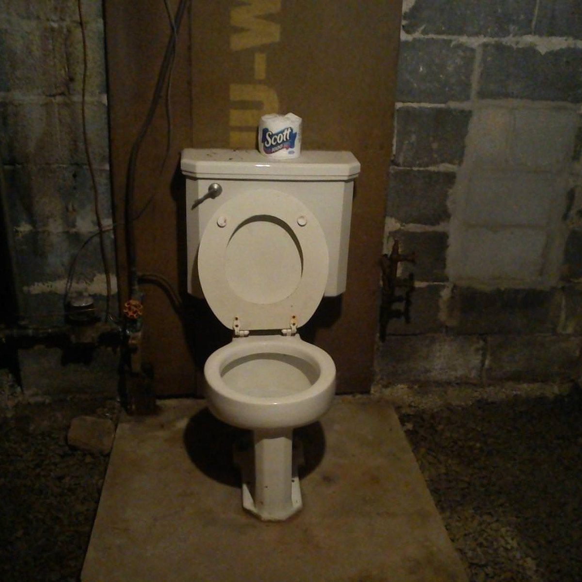 Here's Why Old Houses Have a Random Toilet in the Basement