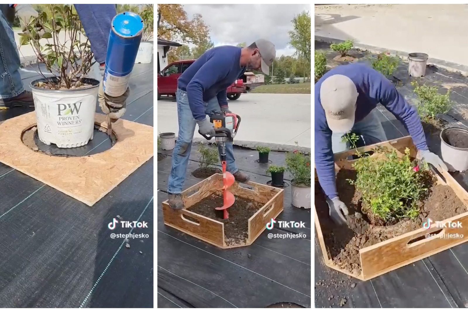 Transform Your Landscape With This Genius Tiktok Planting Hack Stephjesko
